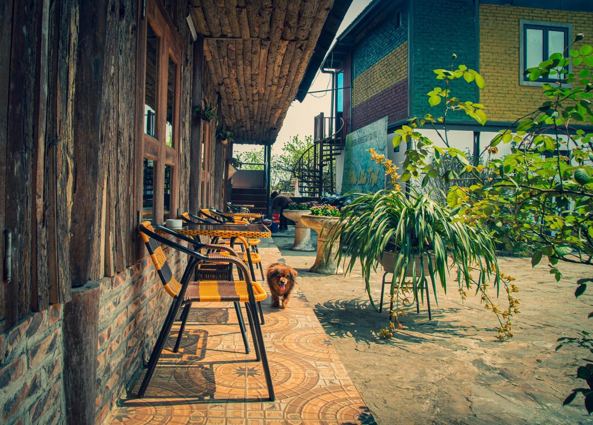 Green Sapa Homestay Kültér fotó